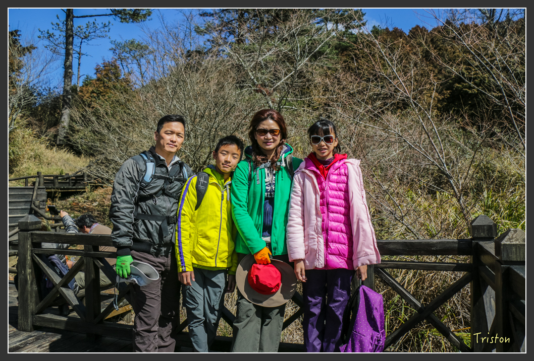 IMG_3361.jpg - 20160227 觀霧森林步道