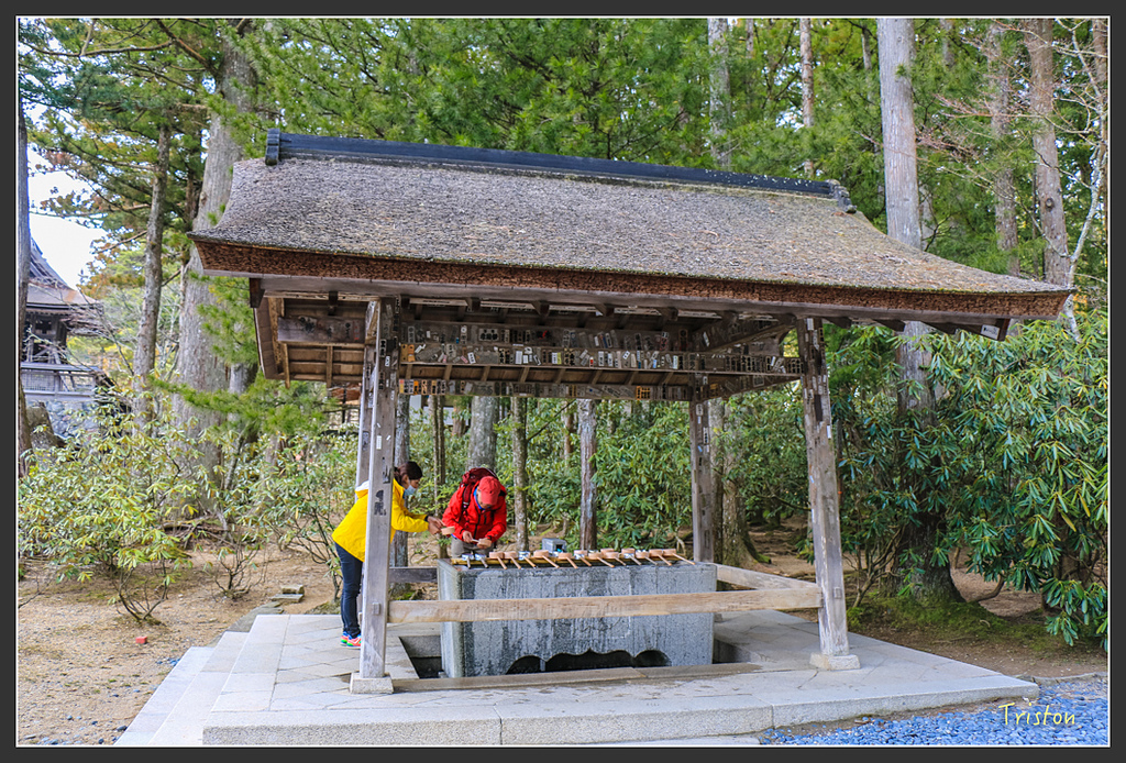 IMG_4496.jpg - 20160323 日本熊野古道健行