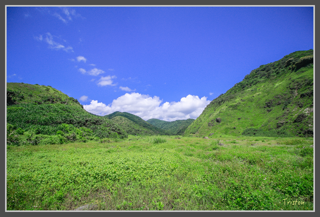 _MG_8315.jpg - 20160618 阿朗壹古道