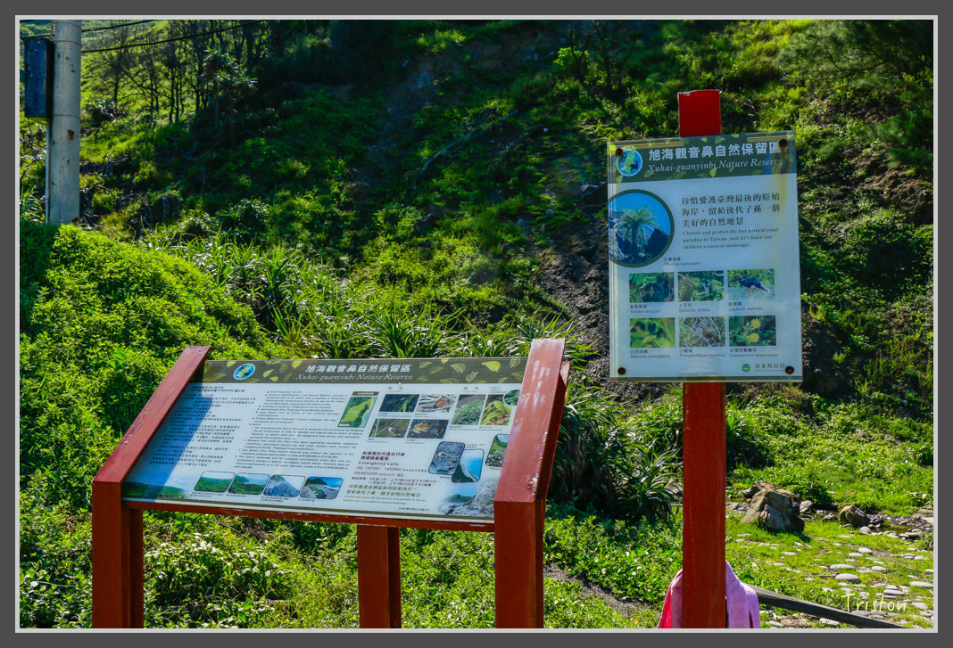 _MG_8525.jpg - 20160618 阿朗壹古道