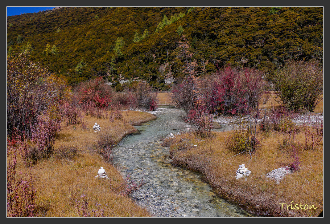 _MG_2334.jpg - 20161013 稻城亞丁