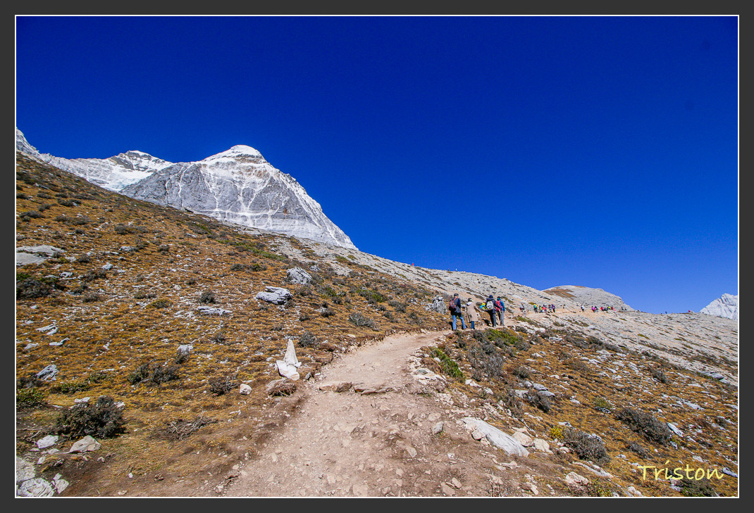 _MG_1826.jpg - 20161013 稻城亞丁