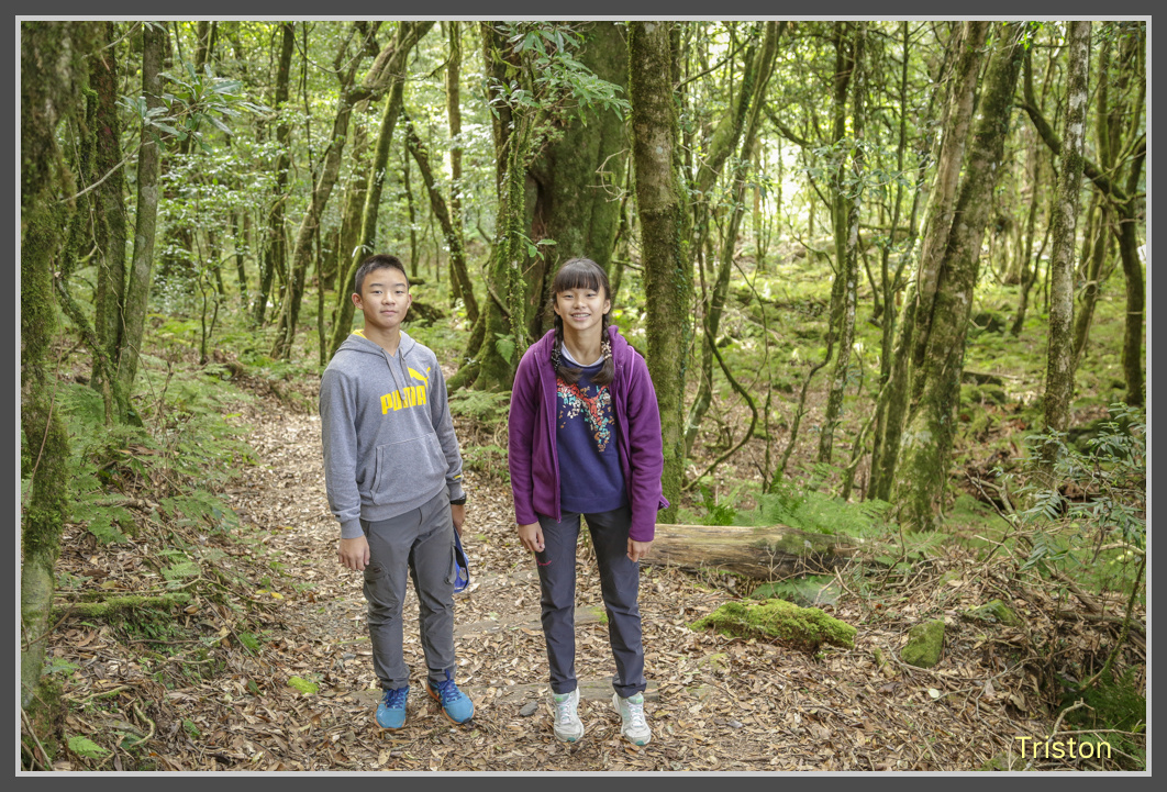 JH1A0547.jpg - 20161105 大雪山