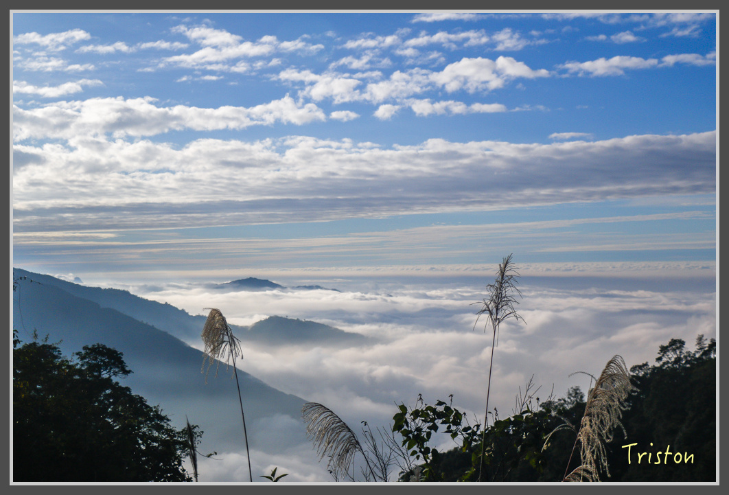 _MG_0443.jpg - 20161203 鎮西堡