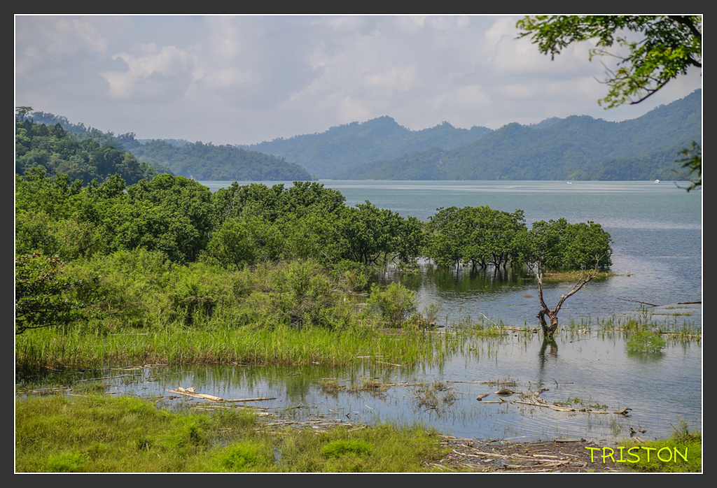 20170812-_H1A5383.jpg - 20170812 大埔、茶山、那瑪夏兜風