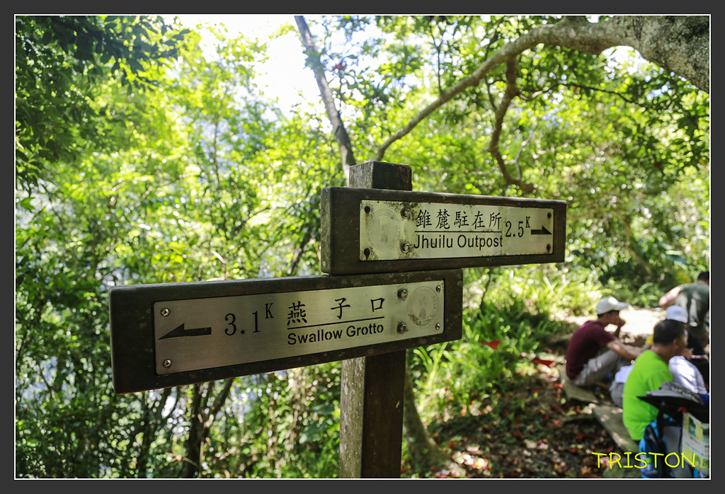 _H1A6433.jpg - 20170901 戀戀台九線