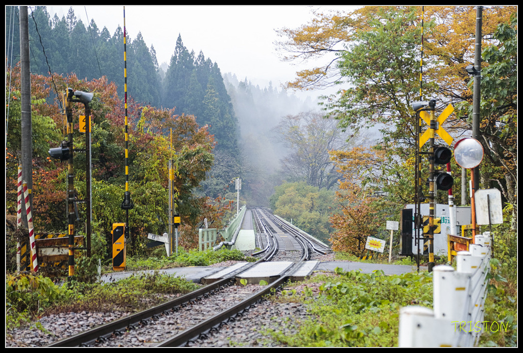 _H1A0360.jpg - 20171103 日本只見線、會津若松五色沼、昭和記念公園賞紅葉
