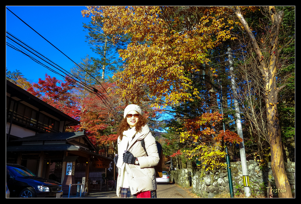 DSC00448.jpg - 20151031 秋天的童話-貴婦東京輕井澤紀行