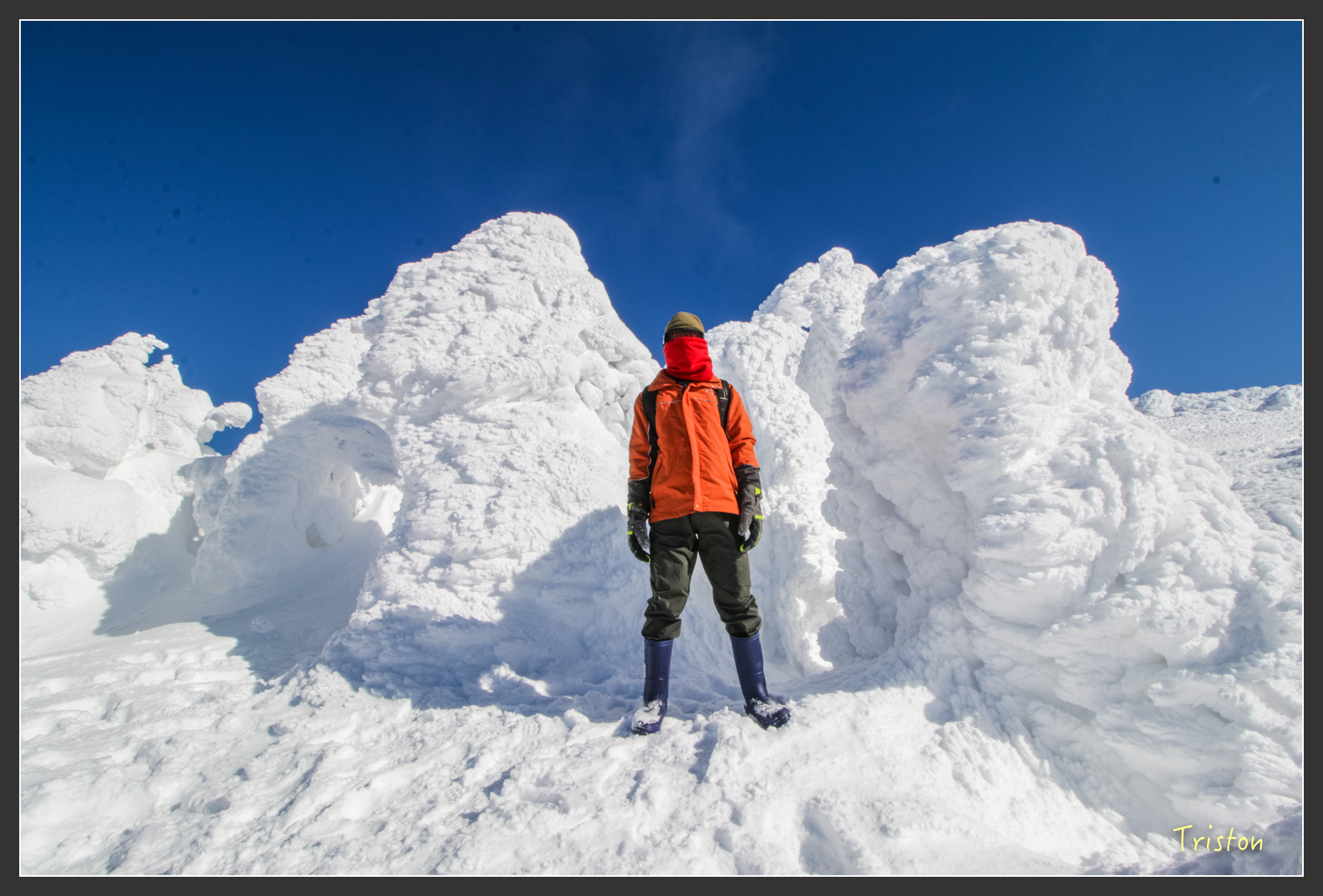 2016ZAO-01635.jpg - 20160131 日本藏王溫泉滑雪親子行