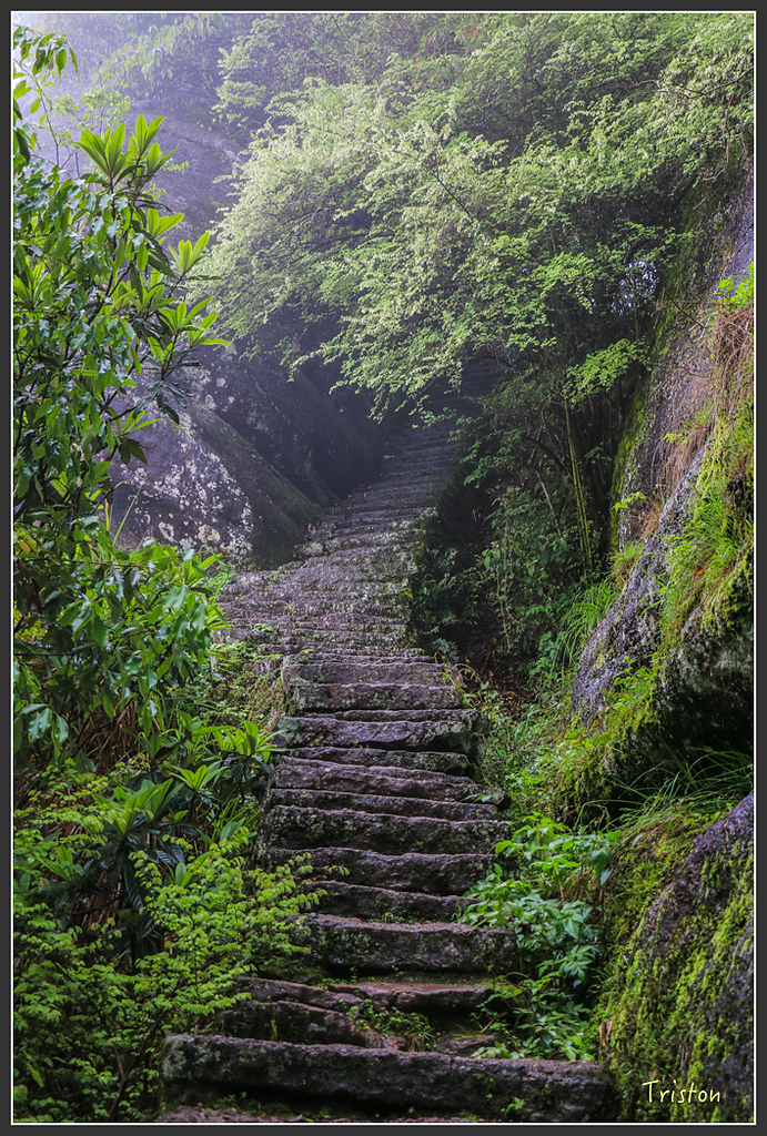 IMG_6395.jpg - 20160409 武夷山之旅