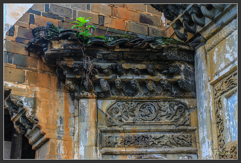 IMG_6577.jpg - 20160409 武夷山之旅