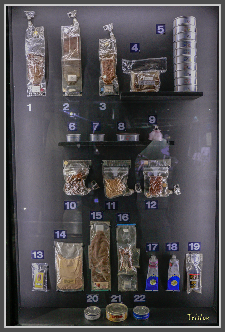 288 _MG_9761.jpg - 20160801 父子親子遊東北角