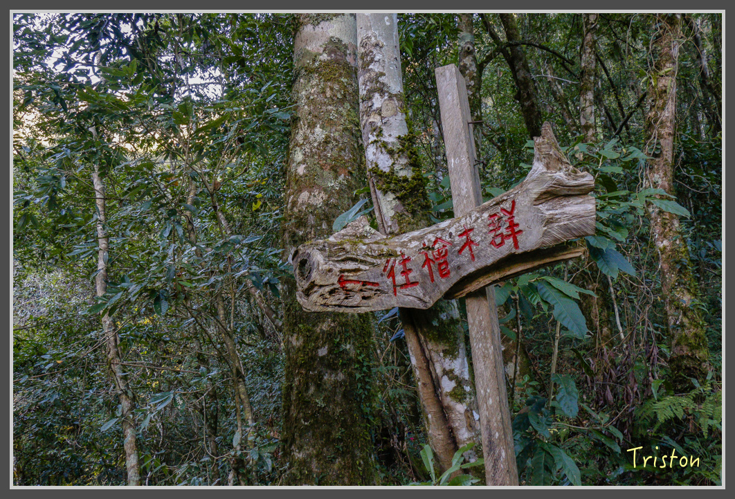 _MG_0091.jpg - 20161203 鎮西堡