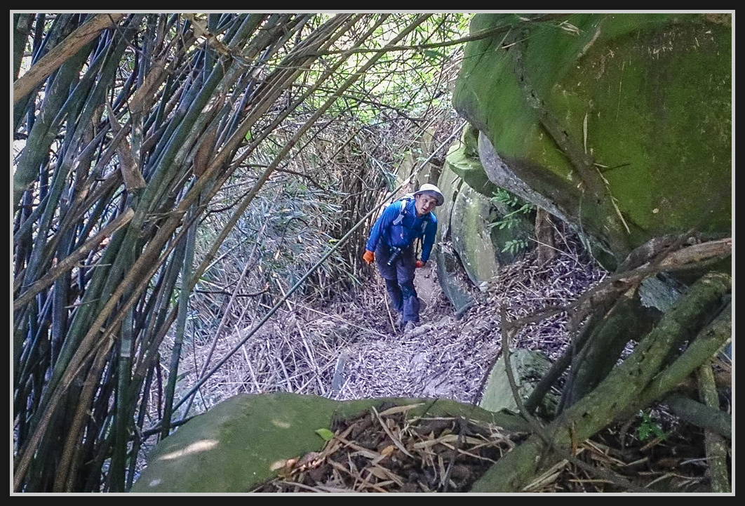 15609304_627379444135278_1583531219_o.jpg - 201161217 旗靈縱走