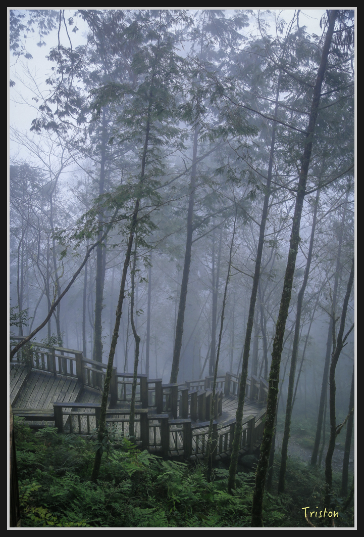 00153.jpg - 20161231 明池 神木園