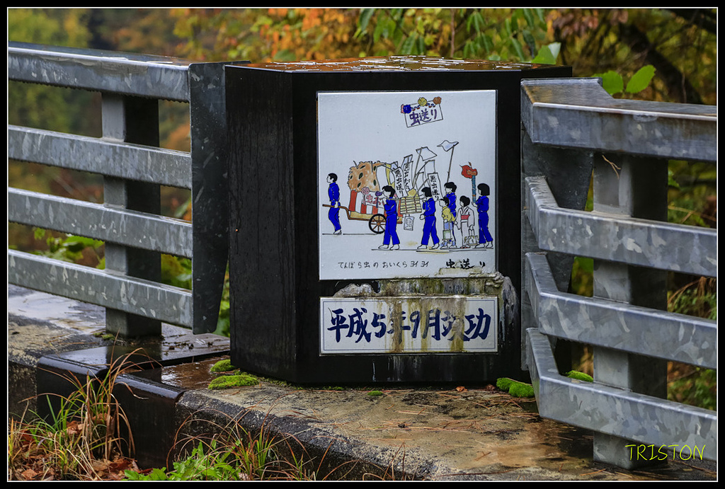 _H1A0378.jpg - 20171103 日本只見線、會津若松五色沼、昭和記念公園賞紅葉