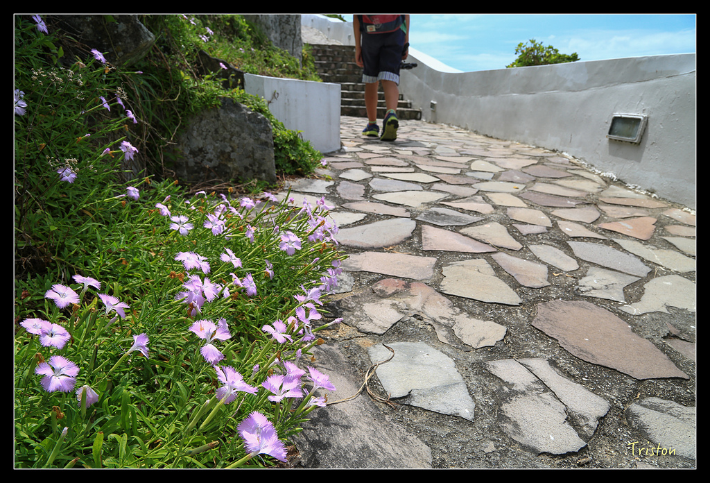 JH1A8448.jpg - 20150814 馬祖之旅