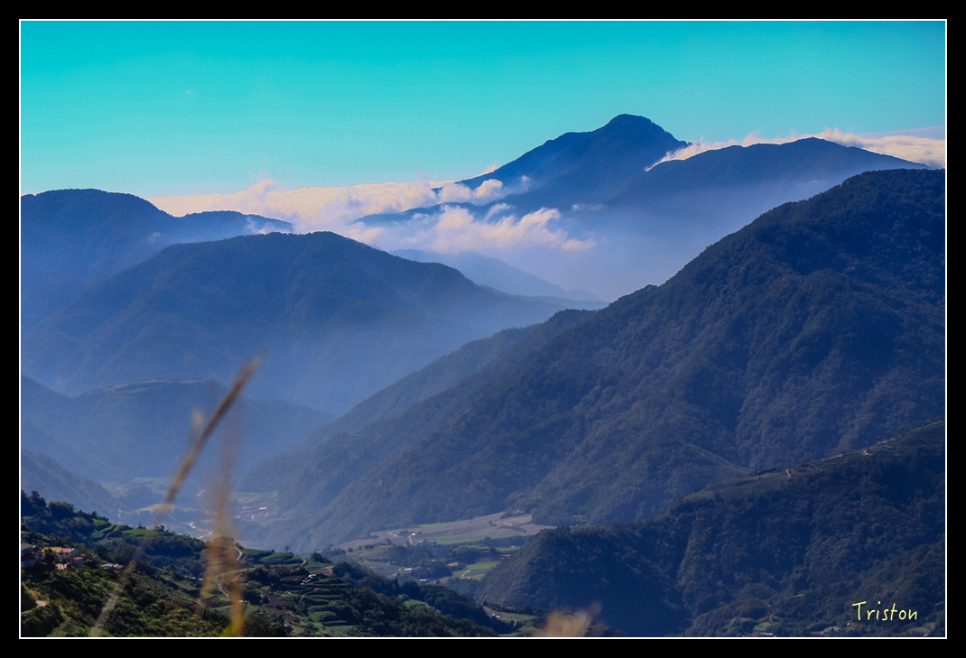 JH1A0604.jpg - 20151205 合歡溪步道、108K楓之谷