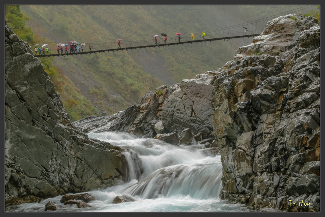 JH1A1137.jpg - 20151221 新竹秀巒賞楓