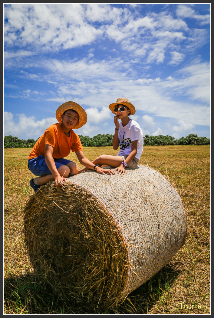 JH1A9365.jpg - 20160514 墾丁悠活