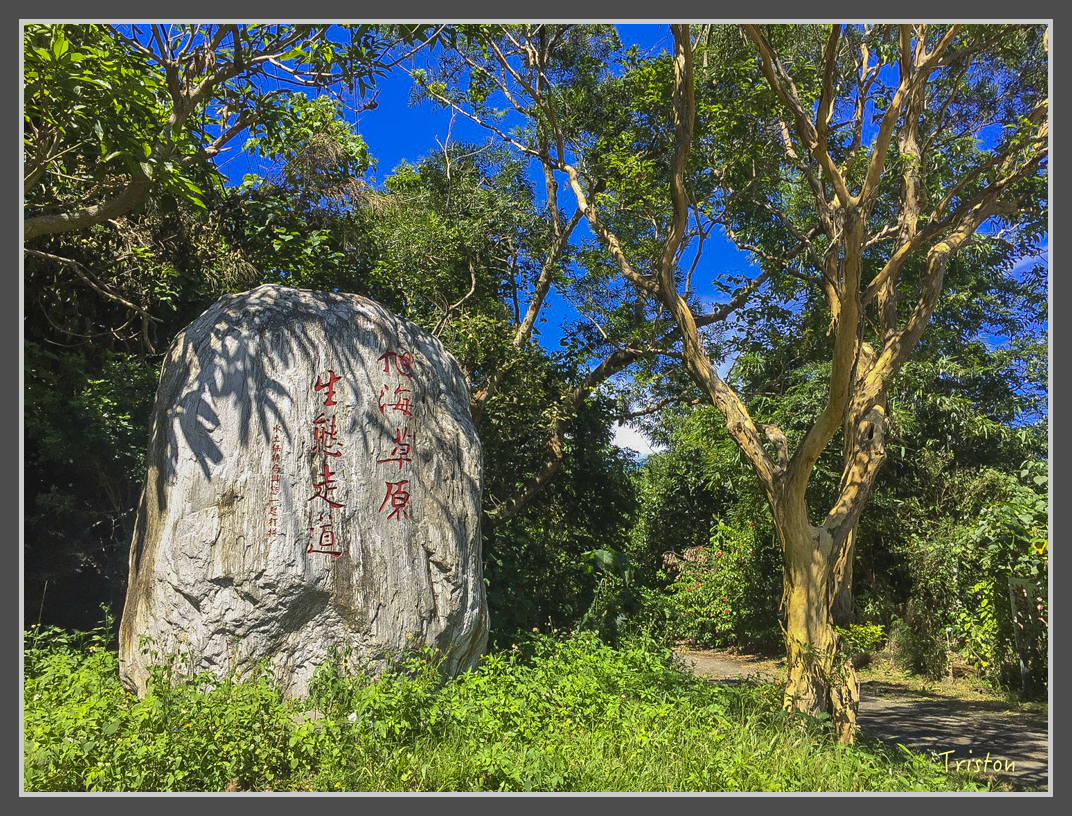 S__22454282.jpg - 20160618 阿朗壹古道