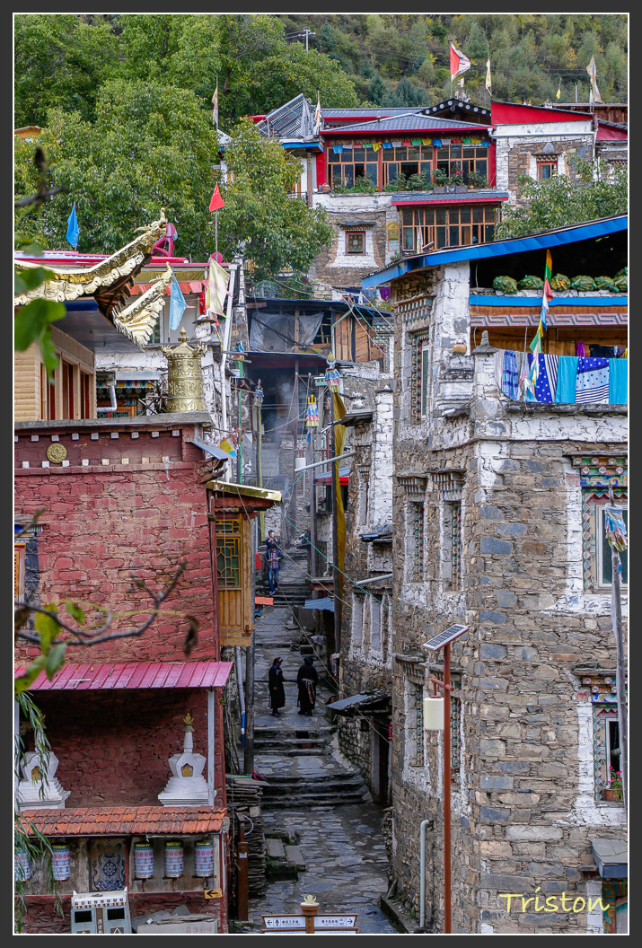 _MG_0374.jpg - 20161013 稻城亞丁