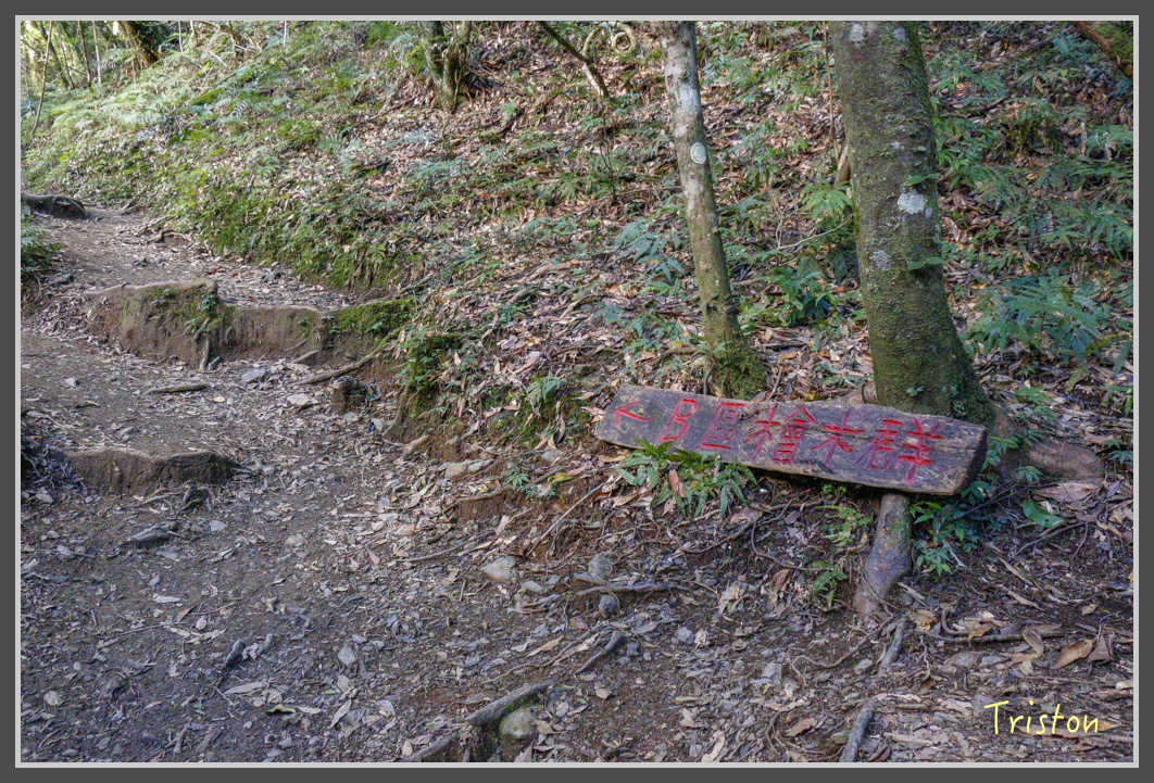 _MG_0102.jpg - 20161203 鎮西堡