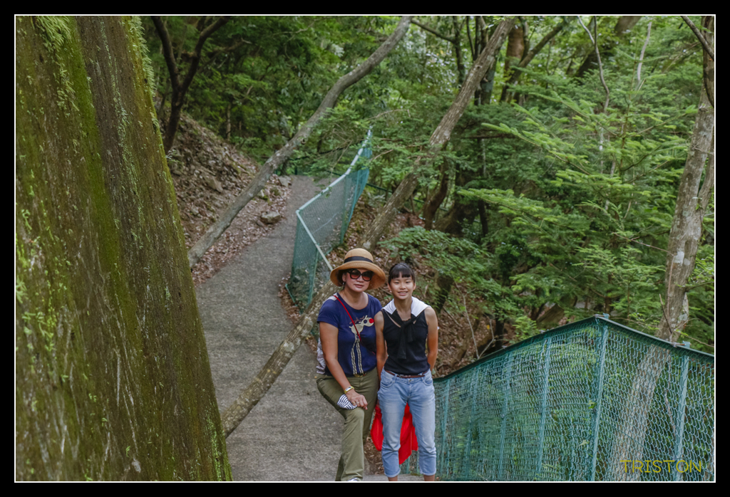_MG_0835.jpg - 20170702 靜岡東海道之旅