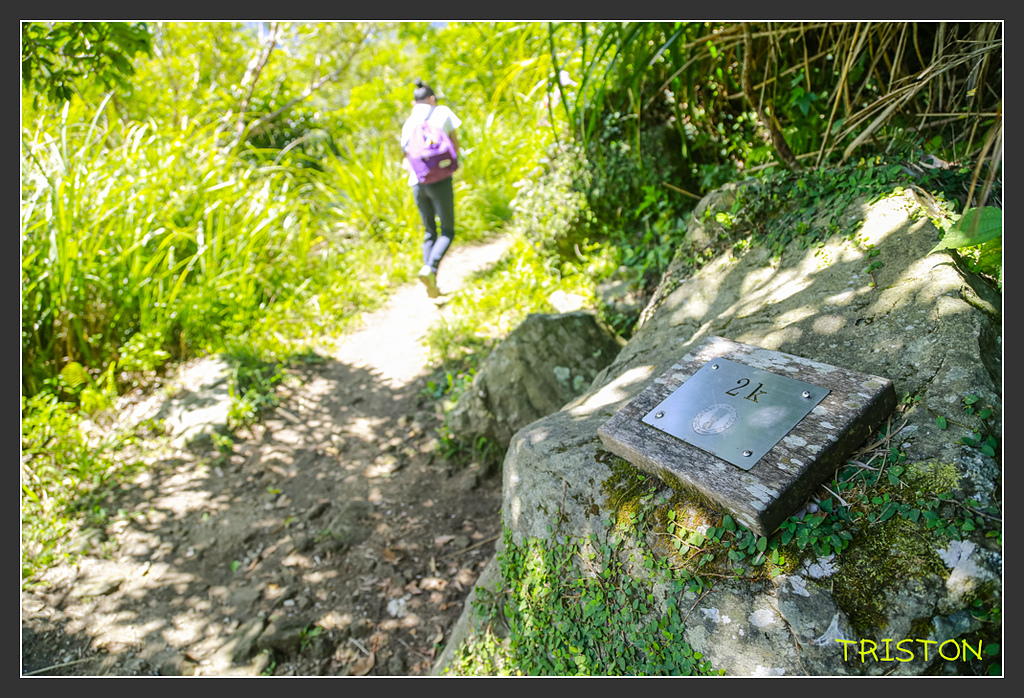 _H1A6336.jpg - 20170901 戀戀台九線