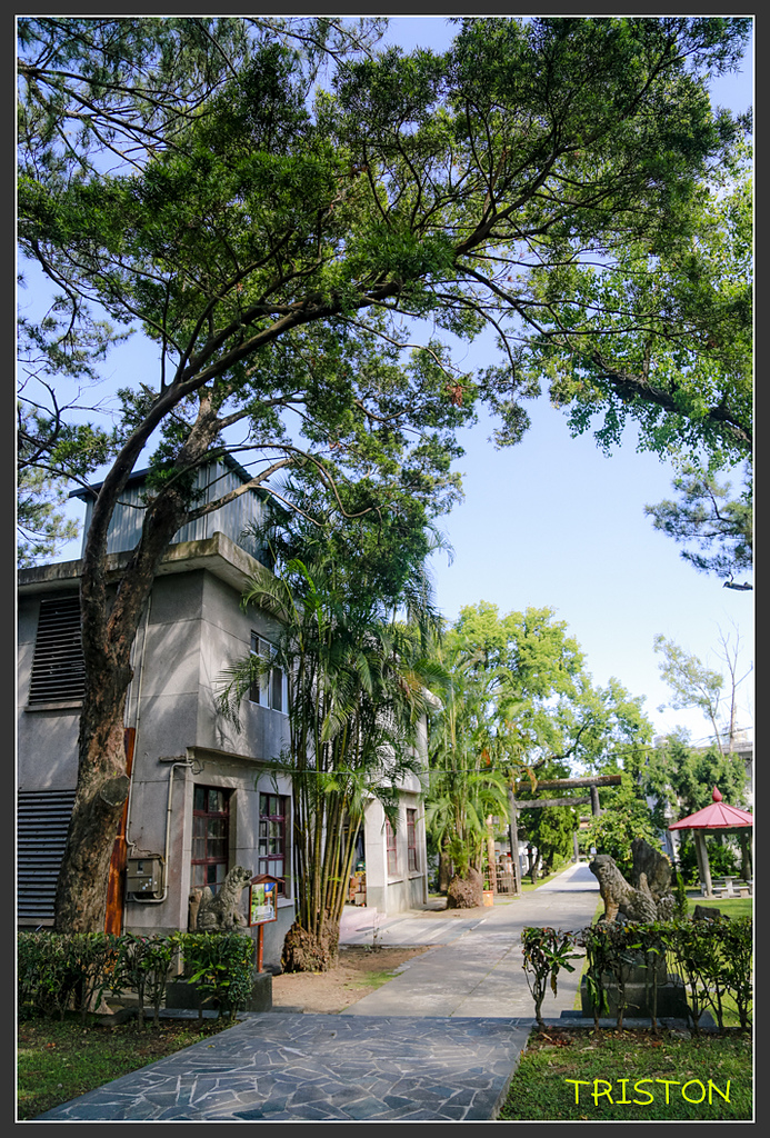 _H1A6256.jpg - 20170901 戀戀台九線