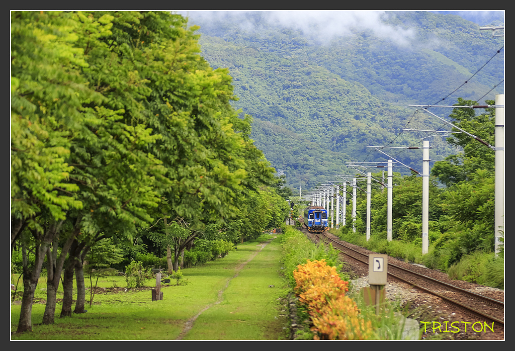 _H1A6703.jpg - 20170901 戀戀台九線