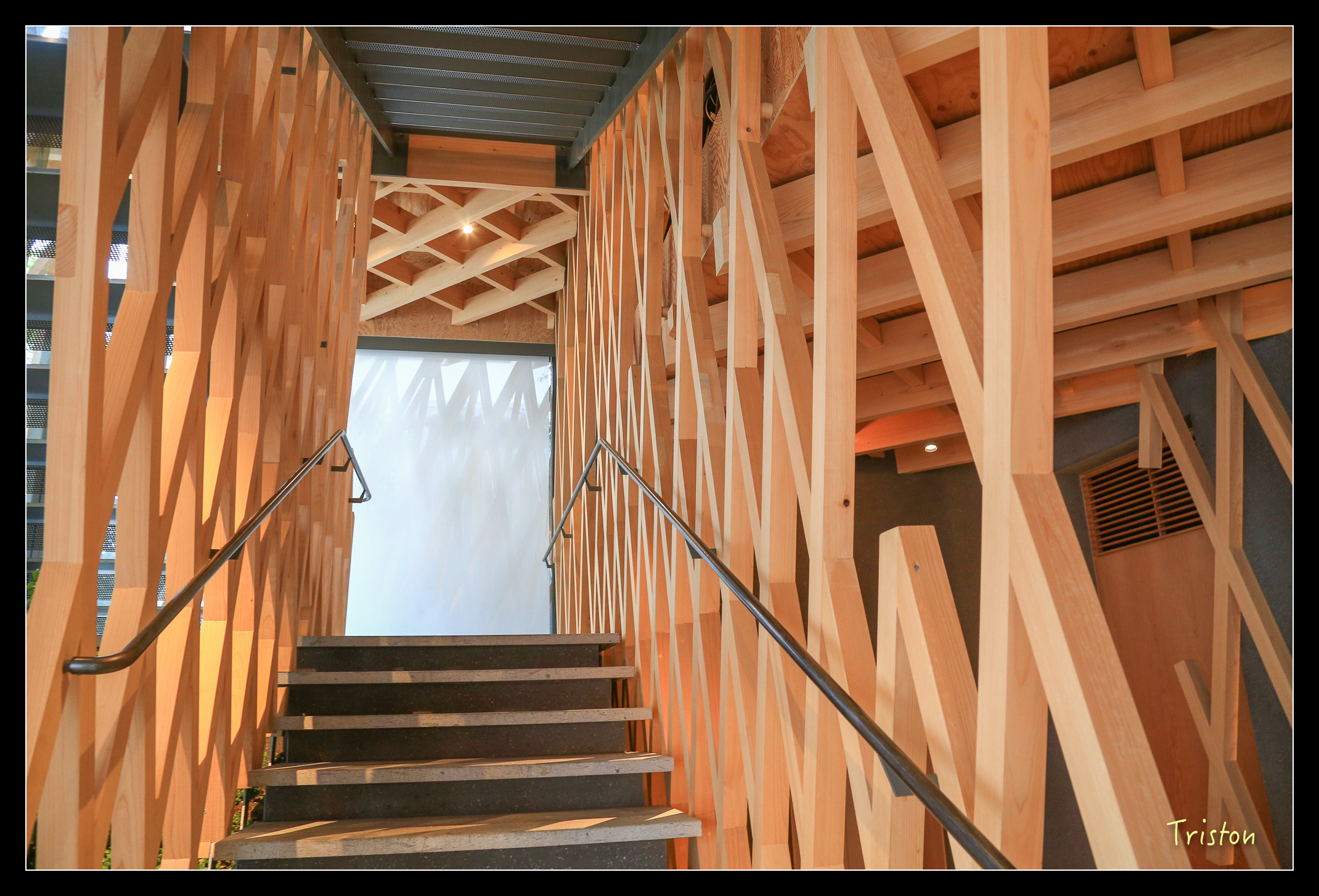 JH1A8958.jpg - 20150628 東京輕井澤日光