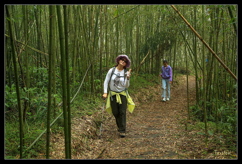 JH1A9748.jpg - 20150920 石棹,霧之道 茶之道 雲之道