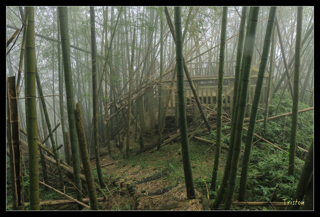 IMG_8453.jpg - 20151012 水社寮,四天王山