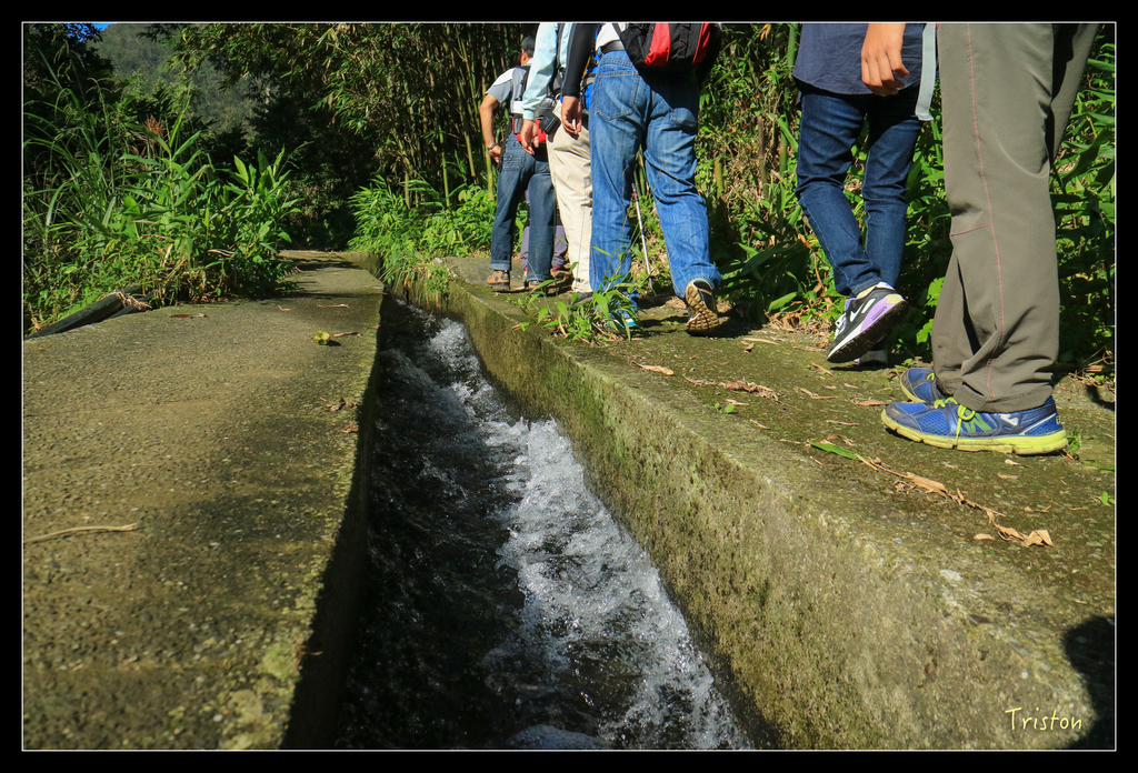 IMG_0478.jpg - 20151107 富士坪古道