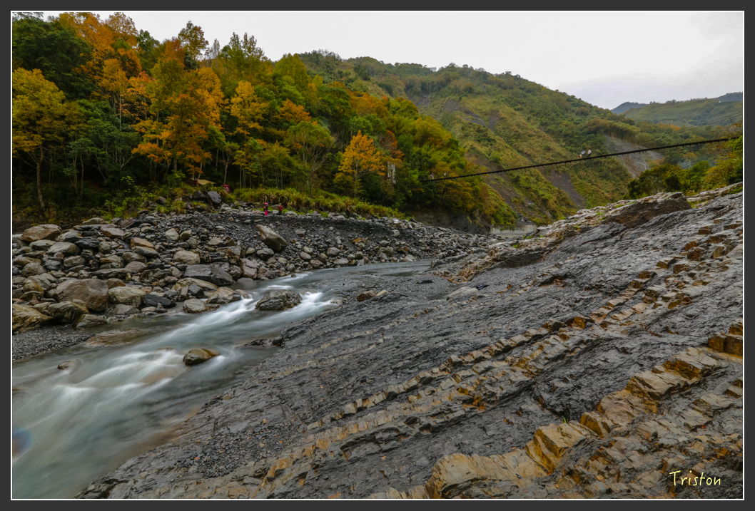 JH1A1155.jpg - 20151221 新竹秀巒賞楓