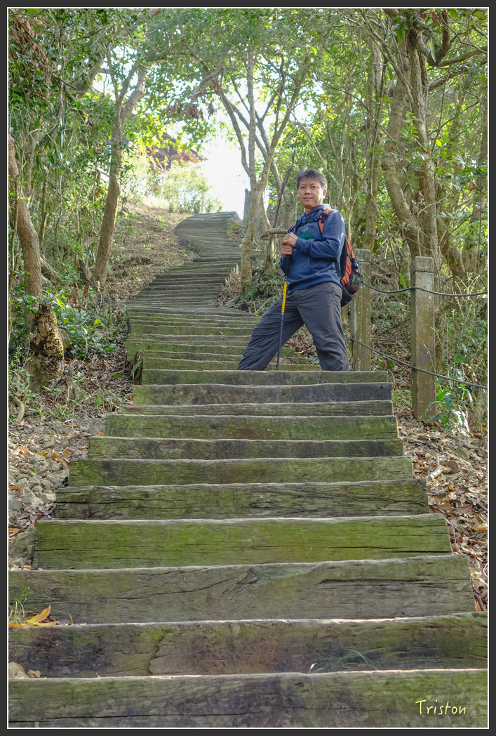 DSC00625.jpg - 20151229 鈺鼎步道