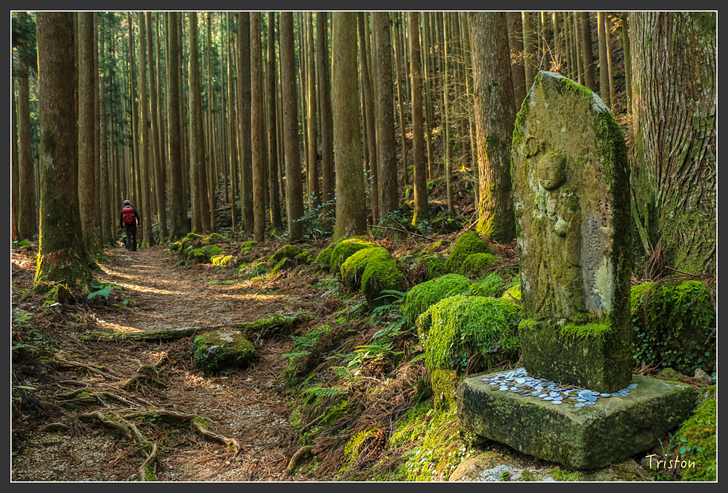 IMG_5379.jpg - 20160323 日本熊野古道健行