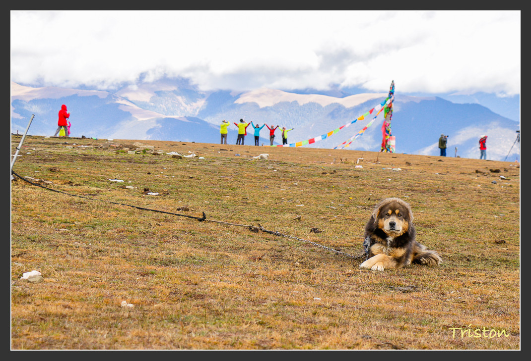 _MG_1445.jpg - 20161013 稻城亞丁