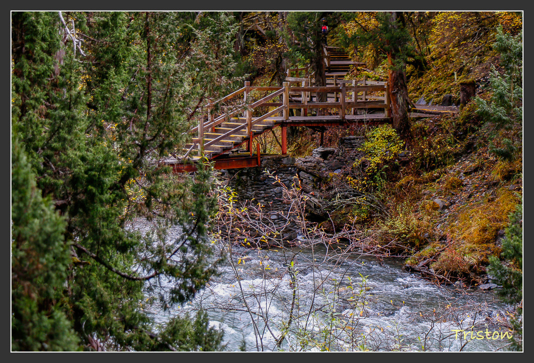 _MG_0949.jpg - 20161013 稻城亞丁