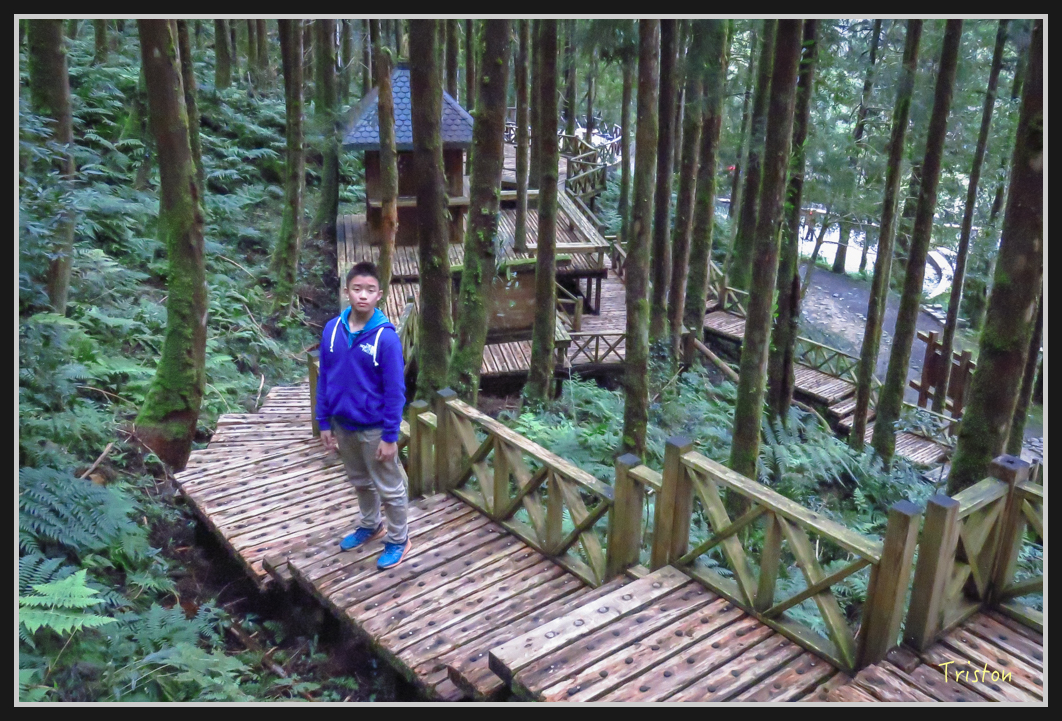 0037.jpg - 20161231 明池 神木園