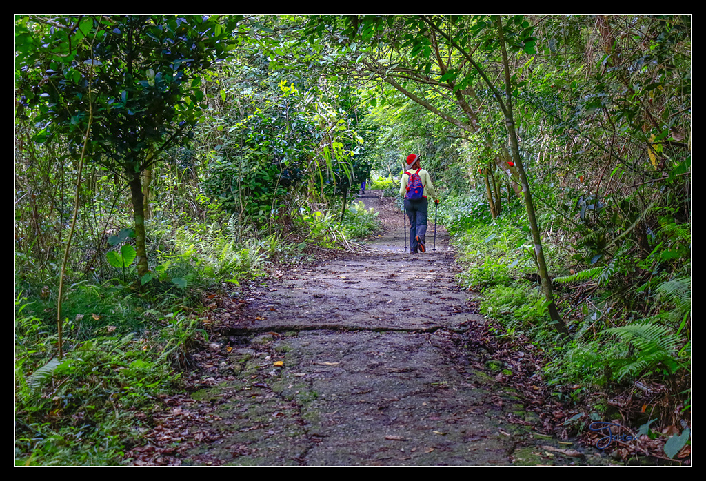 _MG_0012.jpg - 20170429 關仔嶺雞籠山