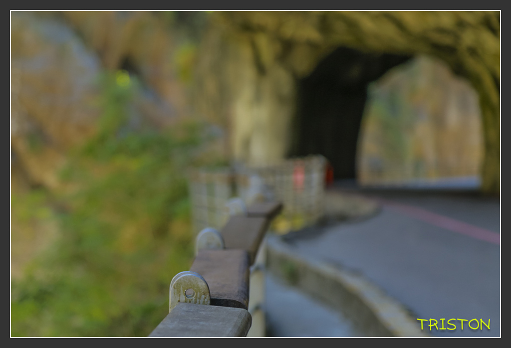 _H1A6270.jpg - 20170901 戀戀台九線