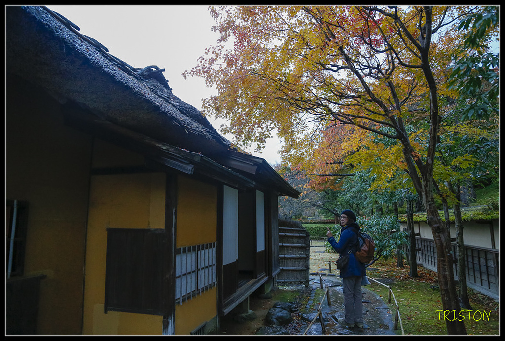 _H1A0964.jpg - 20171103 日本只見線、會津若松五色沼、昭和記念公園賞紅葉