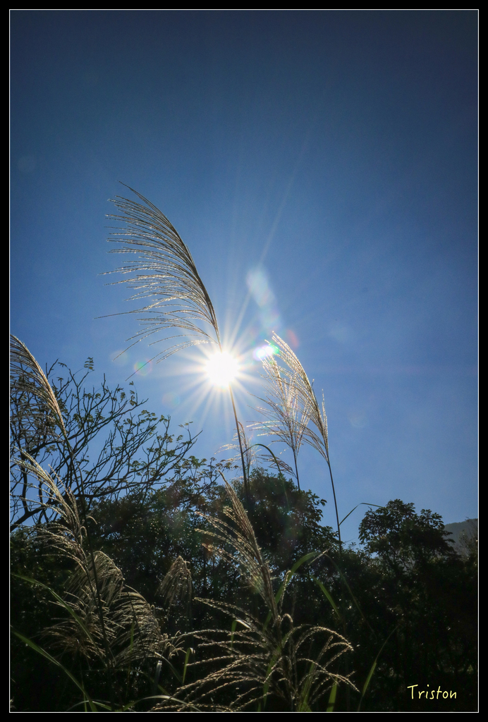 IMG_0480.jpg - 20151107 富士坪古道