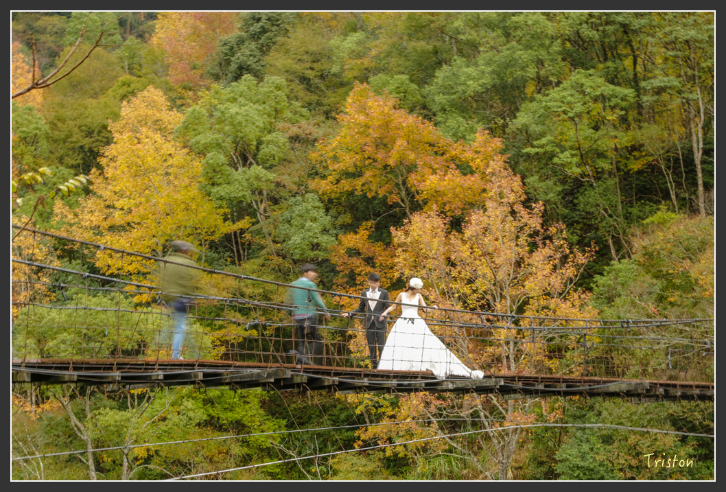 JH1A1167.jpg - 20151221 新竹秀巒賞楓