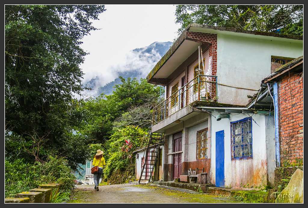 JH1A8203.jpg - 20160111 吉露、阿禮部落