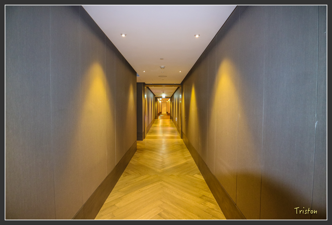 IMG_1719.jpg - 20160210 文華東方和W Hotel