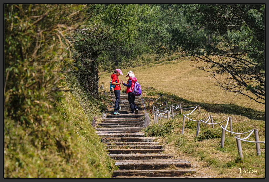 IMG_6157.jpg - 20160402 鹿林麟趾東埔山