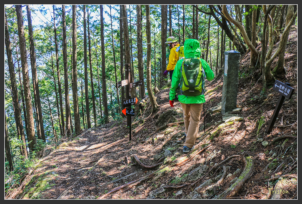 IMG_4793.jpg - 20160323 日本熊野古道健行